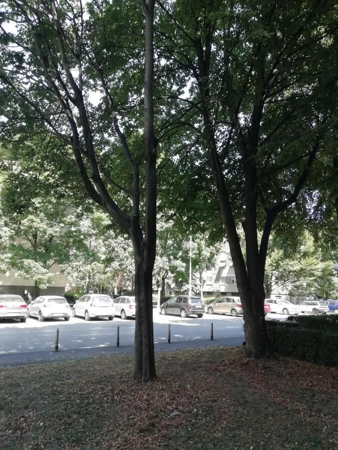 Sarmantni Apartman Malecka Zagreb Exterior photo